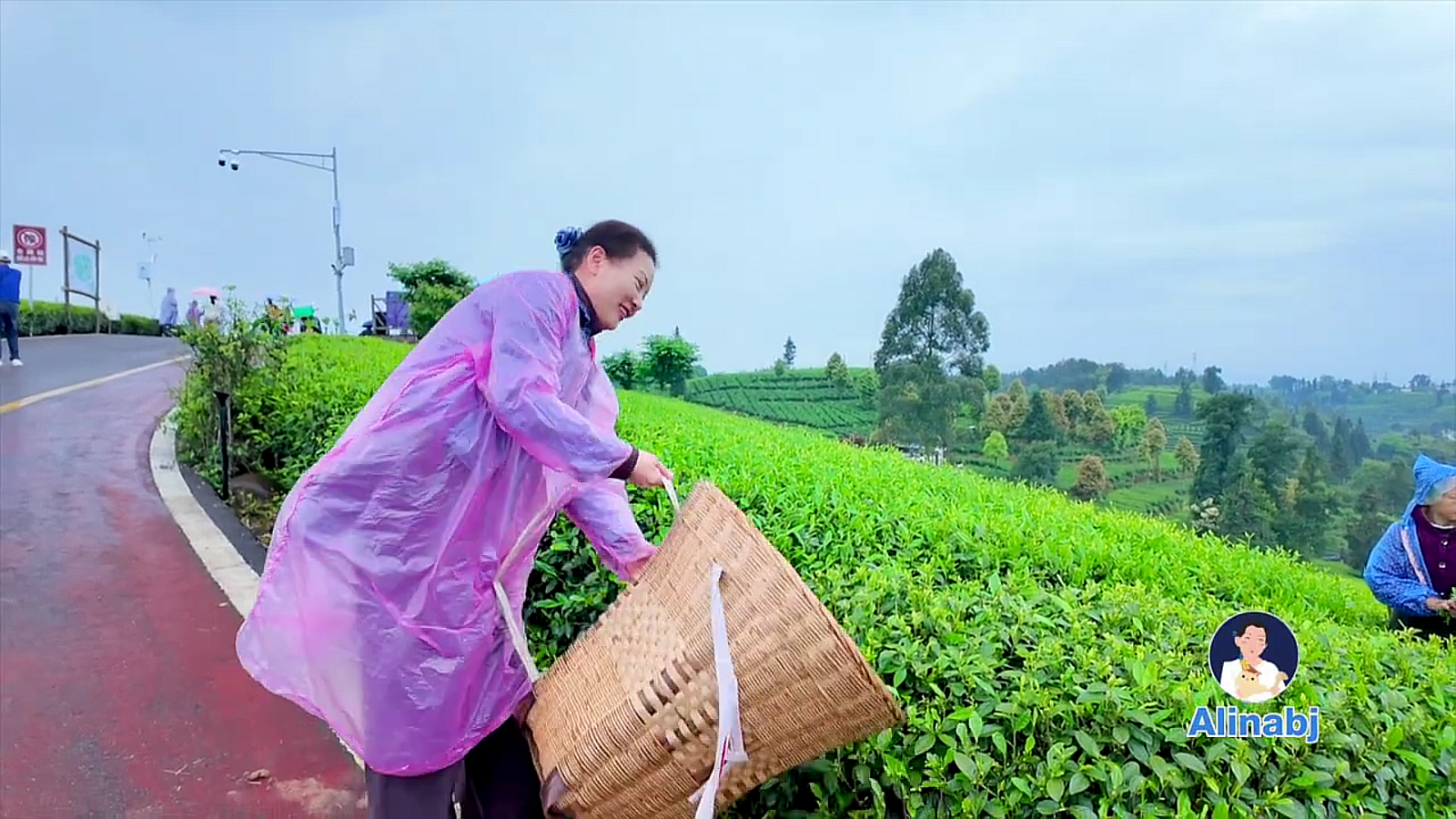 Ya’an – Locul de origine al culturii ceaiului din lume
