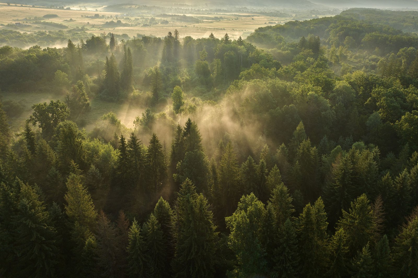 România intră în premieră pe harta globală Earth FM