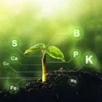 01-adv-foto-0-credits-shutterstock