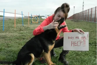 cine-se-mai-gndete-la-animalele-abandonate