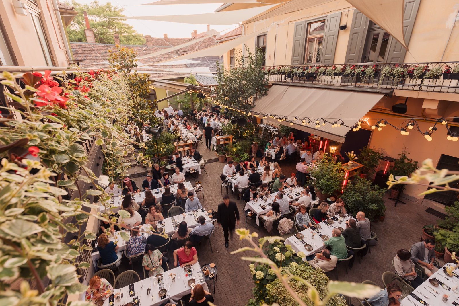 Film Food la TIFF.25: cinema și gastronomie în trei proiecții speciale