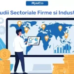 risco.ro