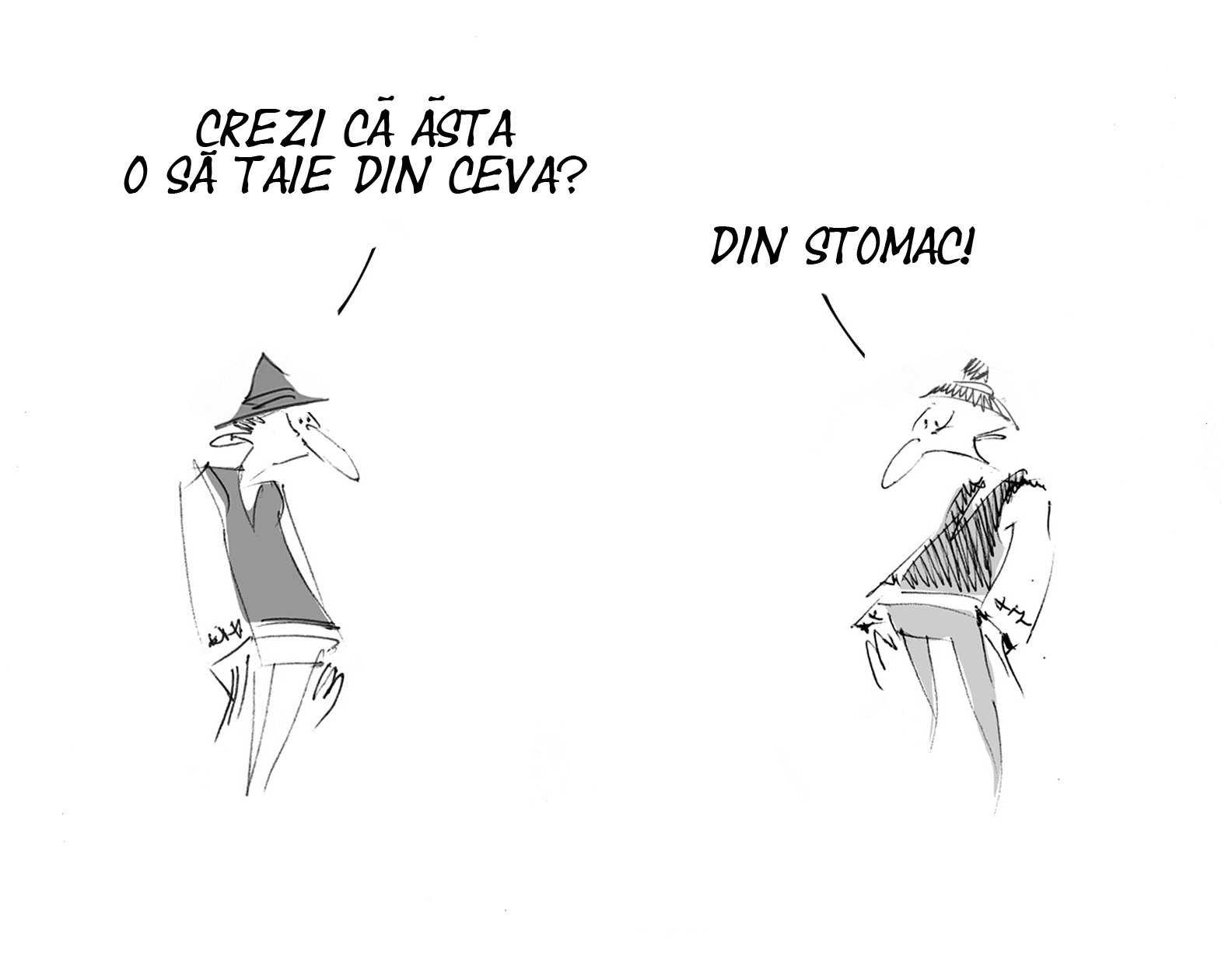 Caricatura zilei