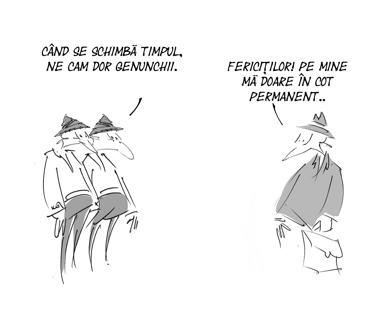 Caricatura zilei