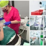 de-ce-tot-mai-muli-pacieni-aleg-clinicile-de-familie-modelul-happy-clinic-clinica-stomatologic-din-oseaua-pipera-cu-medici-cu-experien-din-2004-6a5fab90b3fe2