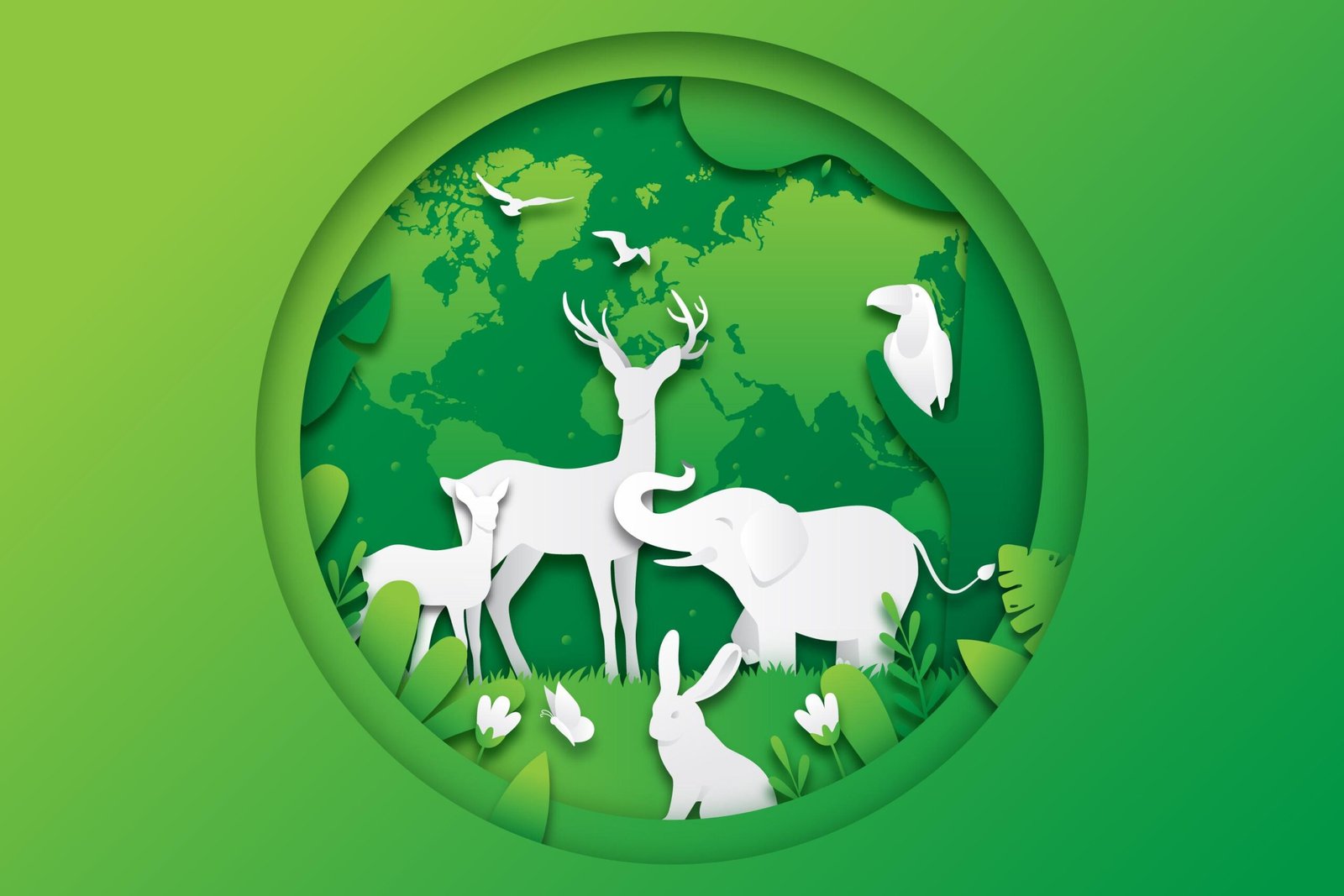 Guvernul a aprobat Strategia națională pentru conservarea biodiversității 2026–2030