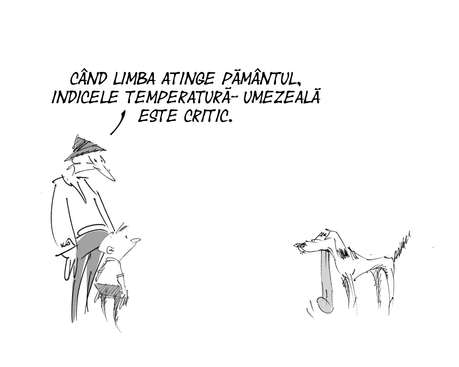 Caricatura zilei