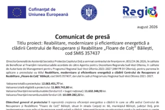 dgaspc-dolj-comunicat-presa-proiect-357437