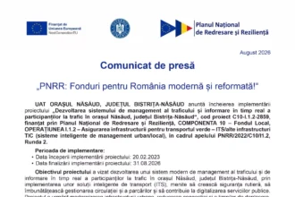 orasul-nasaud-dezvoltarea-management-c10-i12-2859-comunicat-finalizare-proiect