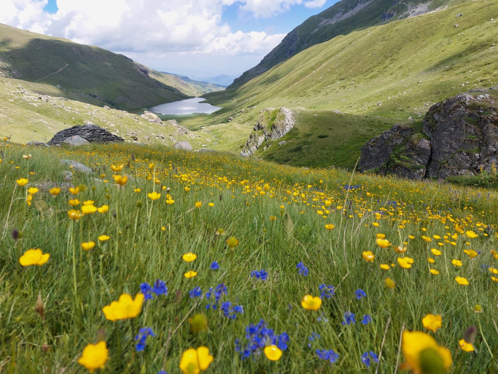 MMAP dezminte informațiile false propagate de AUR privind costurile și elaborarea Strategiei pentru conservarea biodiversității