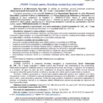ps3-lot-14-renovarea-nr-199-ali-cuza-c5-b21a-173-comunicat-finalizare-6a8c3f6d6dcd3