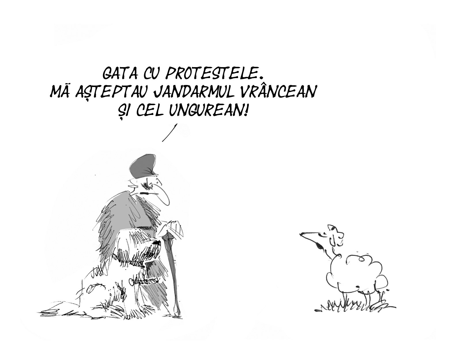 Caricatura zilei