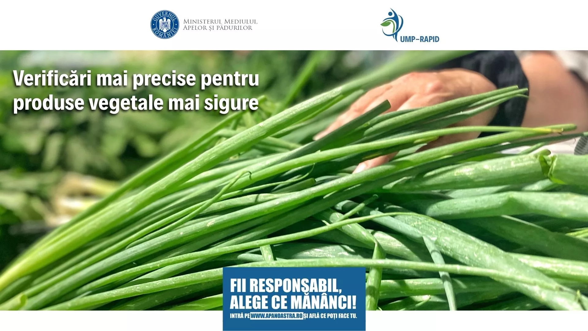 82-adv-foto-3-credits-envatoumprapid-branding